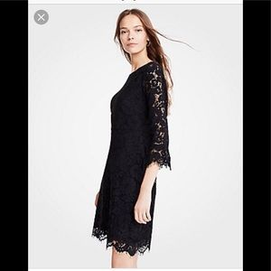 Lace fluted sleeve flare dress - 16 tall